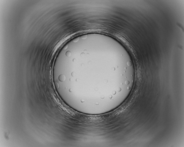 X0000101120933200806261042