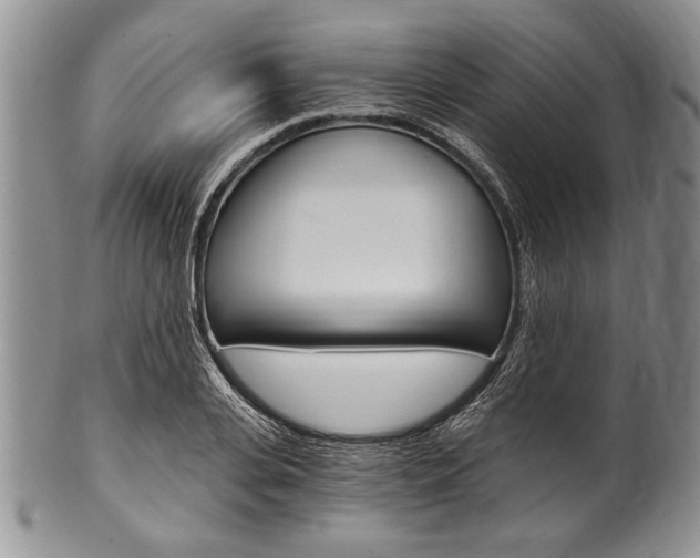 X0000101120935200806261042