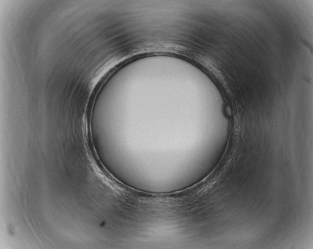 X0000101120936200806261042