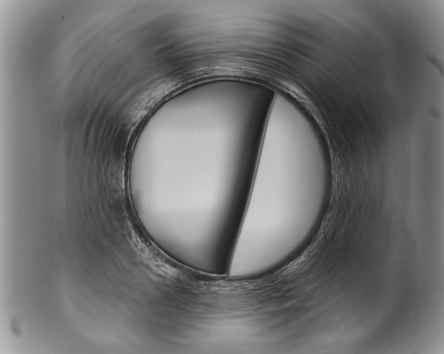 X0000101120938200806261042