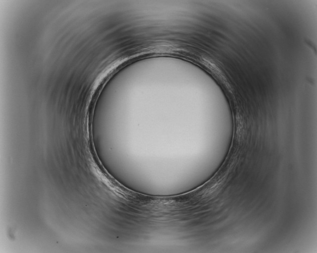 X0000101120939200806261042