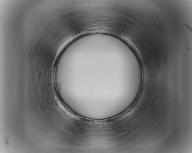 X0000101120941200806261042