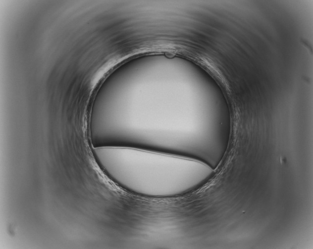 X0000101120944200806261042