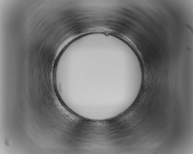 X0000101120947200806261042