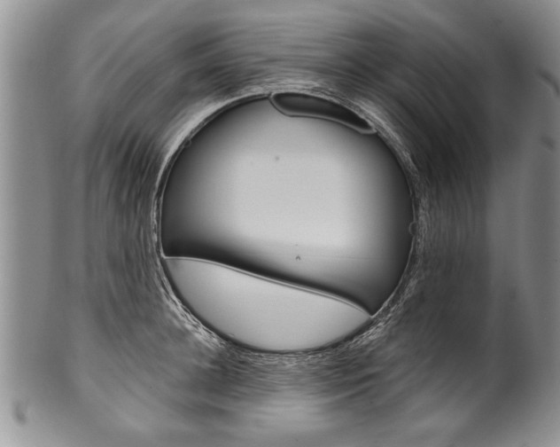 X0000101120948200806261042