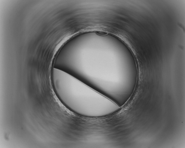X0000101120949200806261042