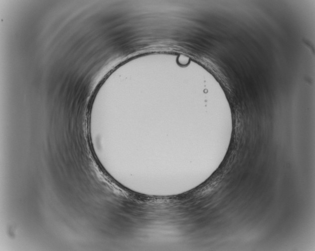 X0000101120950200806261042