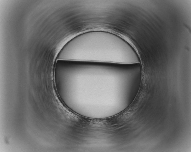 X0000101120951200806261042