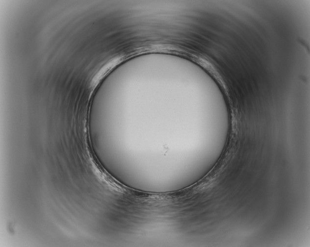 X0000101120954200806261042