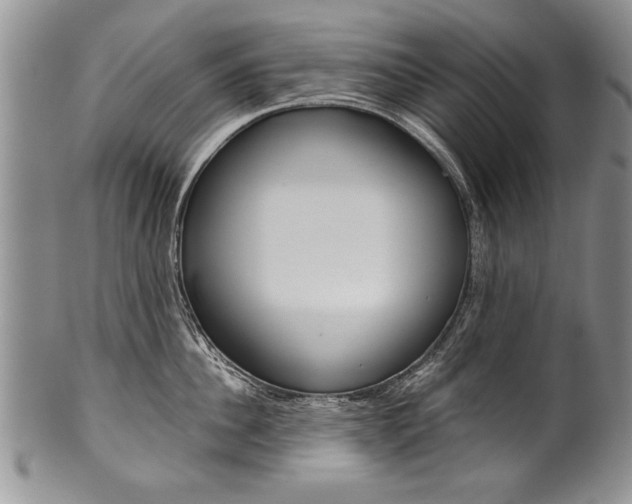 X0000101120956200806261042