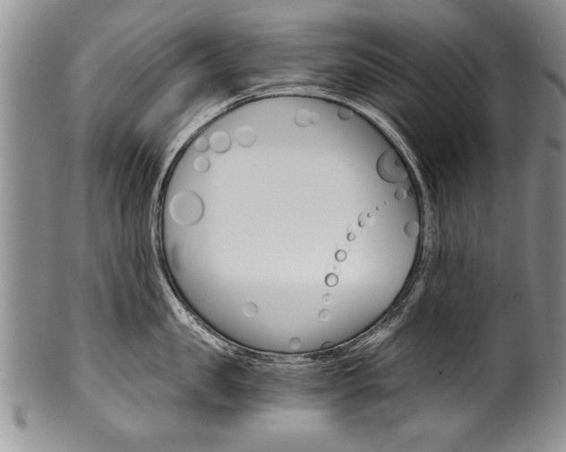 X0000101120957200806261042