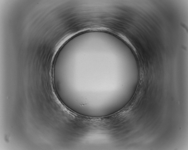 X0000101120959200806261042