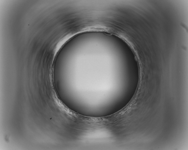 X0000101120960200806261042