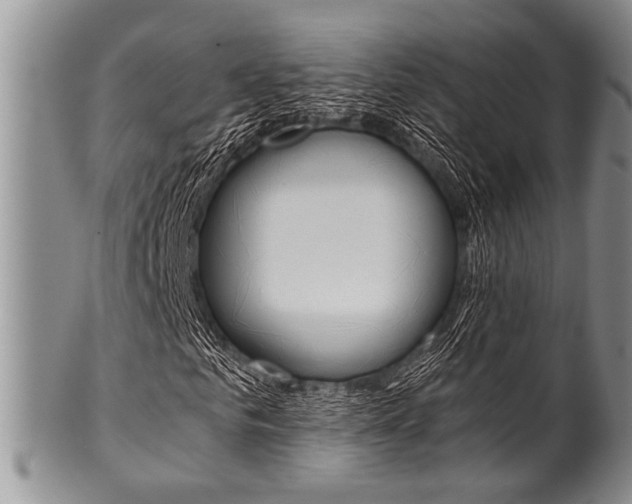 X0000101120961200806261041