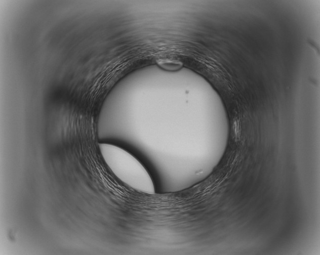 X0000101120963200806261041