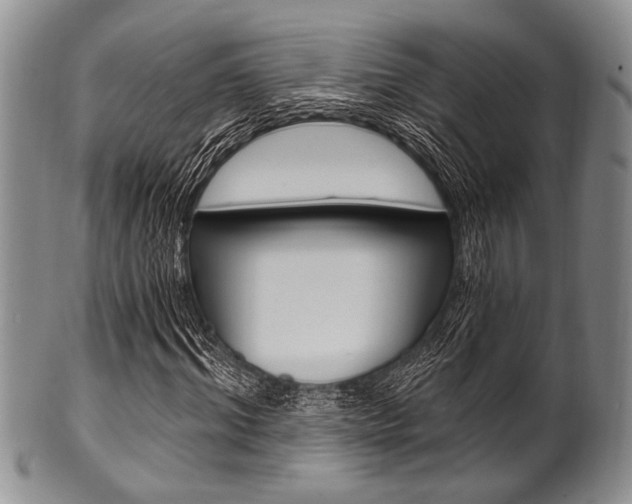 X0000101120964200806261041
