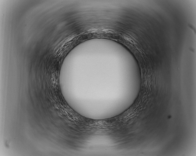 X0000101120966200806261041