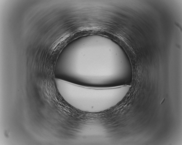 X0000101120967200806261041