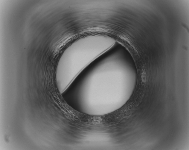 X0000101120968200806261041