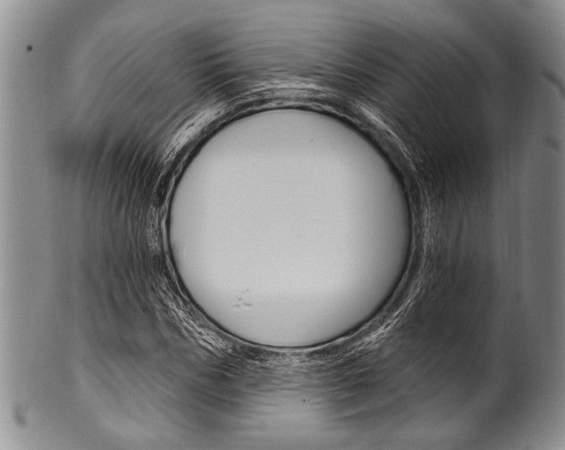 X0000101120970200806261041