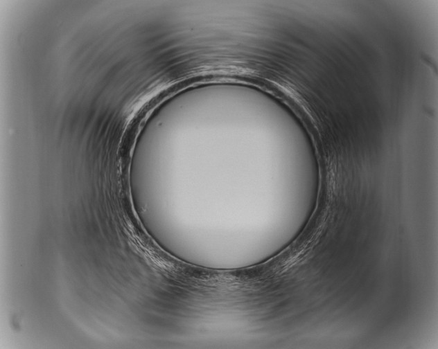 X0000101120971200806261041