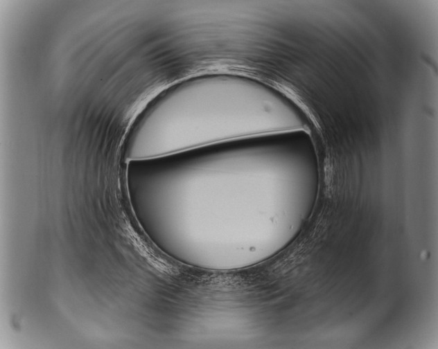 X0000101120972200806261041