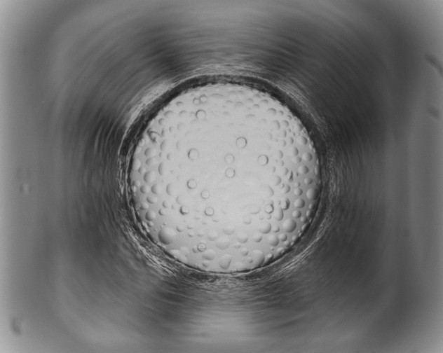 X0000101120974200806261041