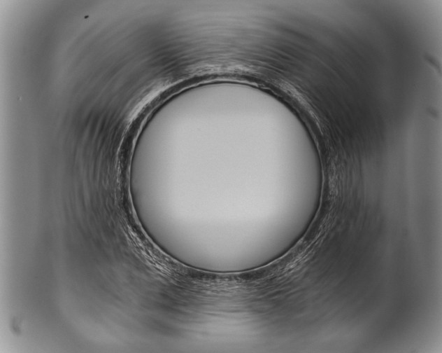 X0000101120975200806261041