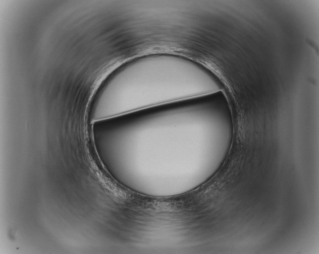 X0000101120976200806261041