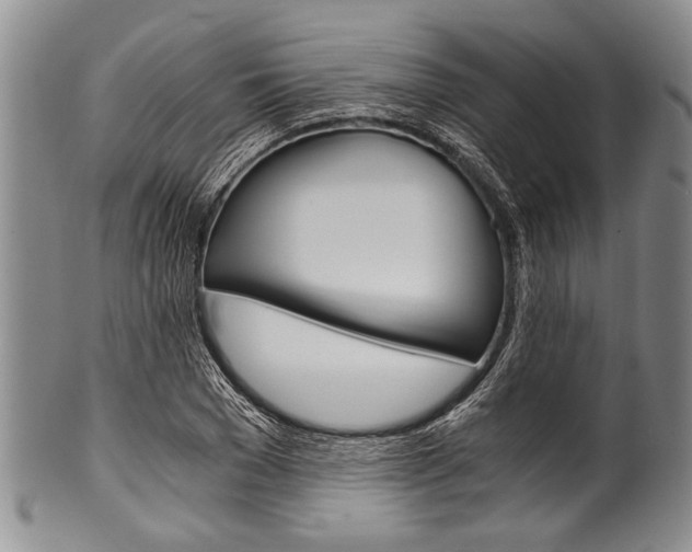 X0000101120977200806261041