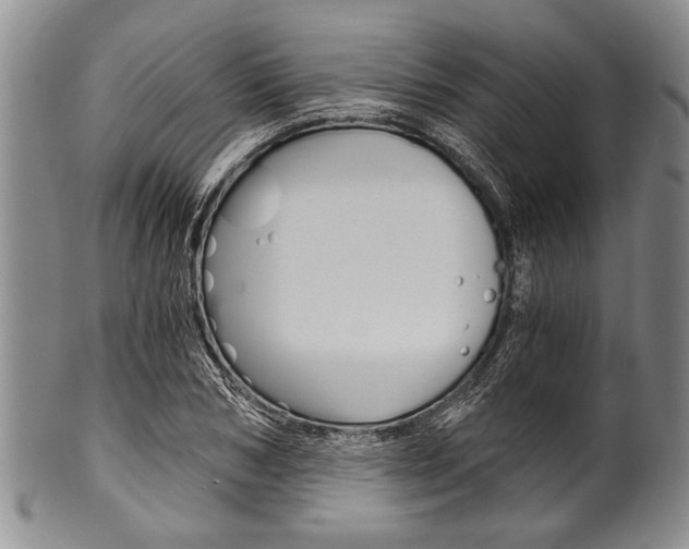 X0000101120978200806261041