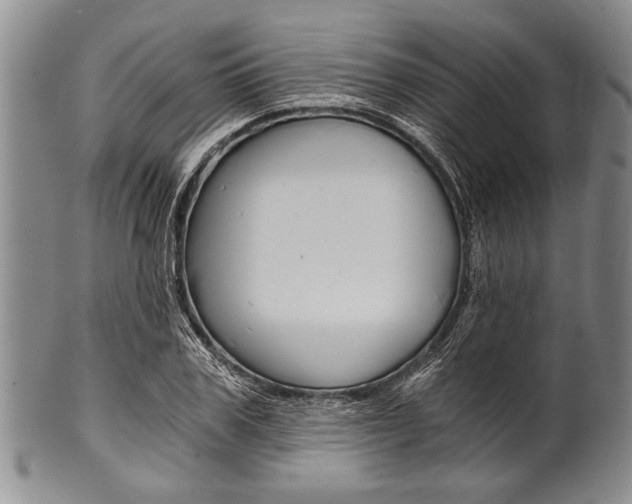 X0000101120979200806261041
