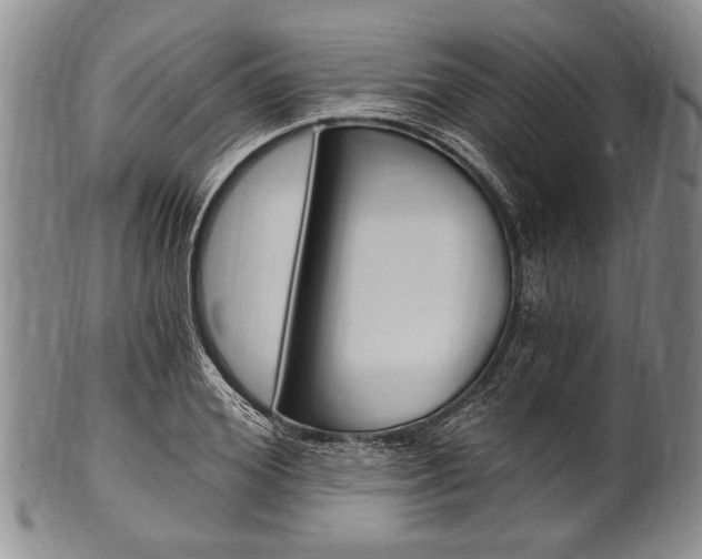 X0000101120980200806261041