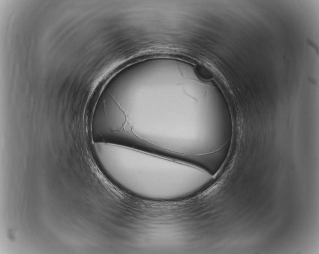 X0000101120981200806261041
