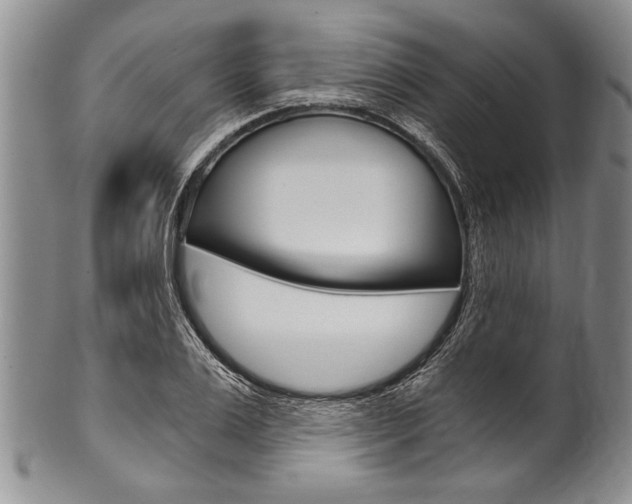 X0000101120983200806261041