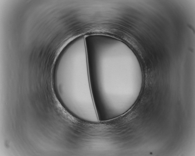 X0000101120984200806261041