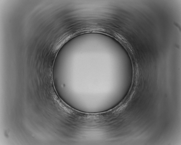 X0000101120985200806261041