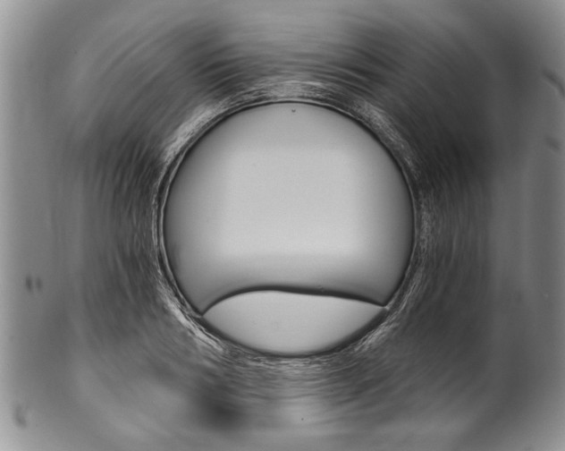X0000101120986200806261041