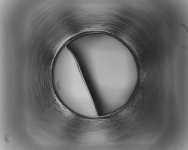 X0000101120988200806261041