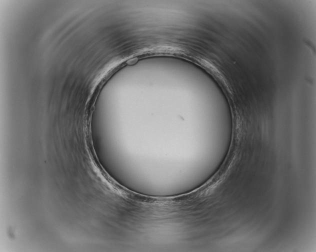 X0000101120989200806261041