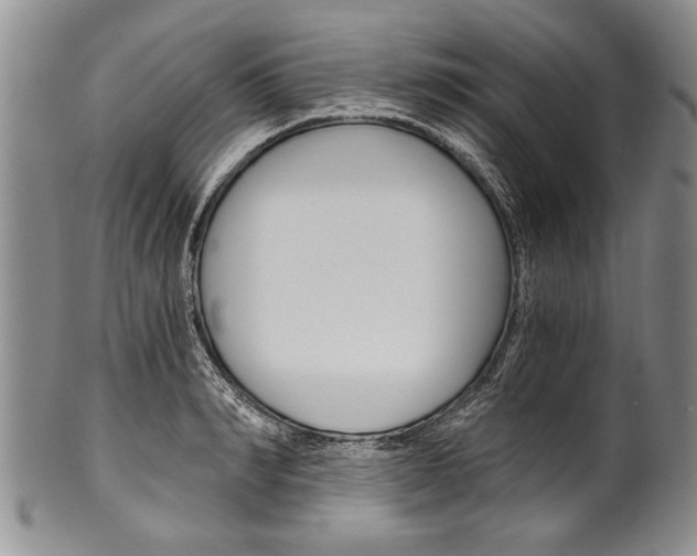 X0000101120990200806261041