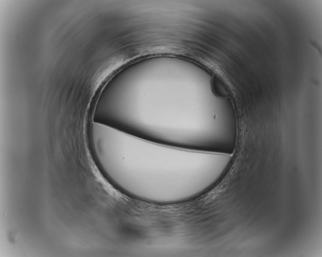 X0000101120991200806261041