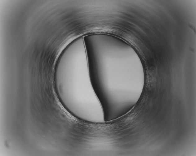 X0000101120992200806261041