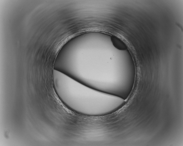 X0000101120993200806261041