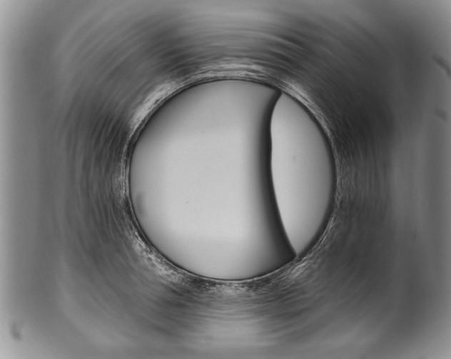 X0000101120994200806261041