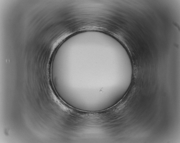 X0000101120995200806261041