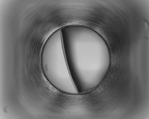 X0000101120996200806261041