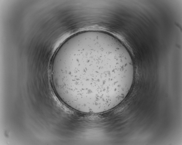 X0000101120998200806261041