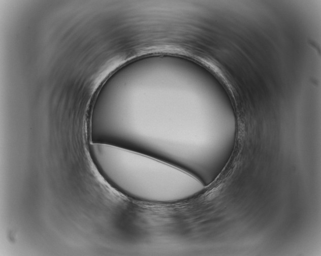 X0000101120999200806261041