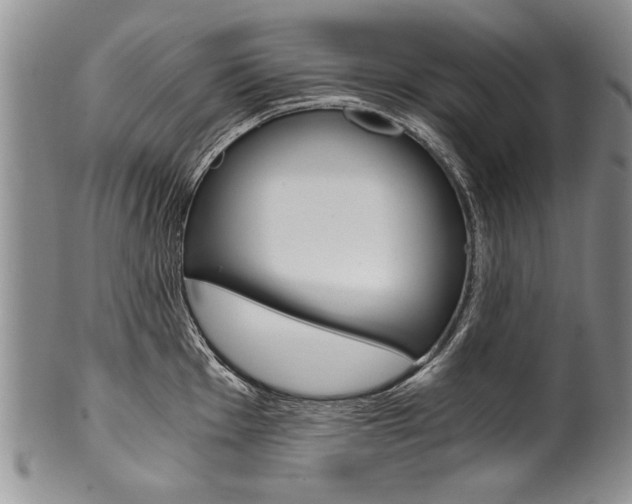 X0000101121001200806261041